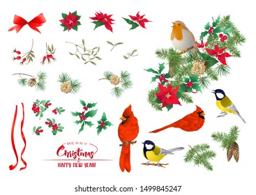 Tit bird, Robin bird, Cardinal bird, Christmas wreath of spruce, pine, poinsettia, dog rose, fir. Set of elements for design Colored vector illustration. Isolated on white background. 	