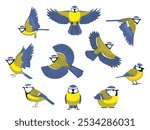 Tit Blue Bird Winter Various Poses Cartoon Vector Character