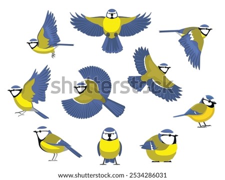 Tit Blue Bird Winter Various Poses Cartoon Vector Character
