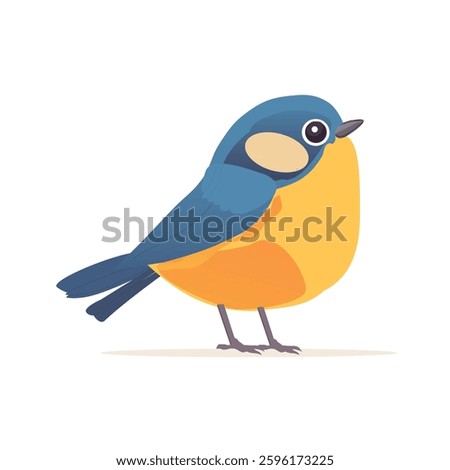 Tit Blue yellow bird,cute titmouse bird,cartoon style vector illustration on white background