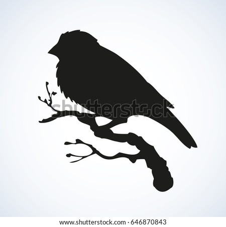 Retro black and white tit Commit error. Retro black and white tit remarkable, this