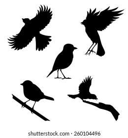 Tit set of silhouettes vector