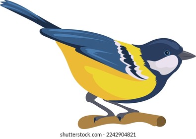 Tit sit on branch. Colorful wild bird icon isolated on white background