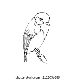 A tit sits on a tree branch in black and white