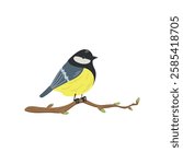 Tit sitting on a branch isolated on white background. Spring time, buds blossoming on trees. vector illustration