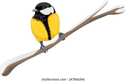 Tit sitting on a branch tree. Vector
