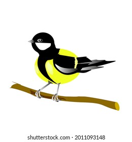 A tit sitting on a branch on a white background.Vector illustration of a bird.
