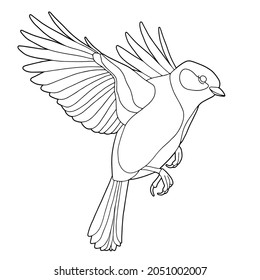 Tit. Small bird. Coloring page. Black outline. 