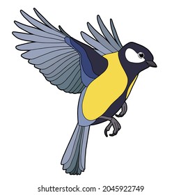 Tit. Small bird. Yellow-blue bird. 