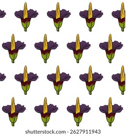 Titan Arum or Amorphophallus titanum flower Seamless Pattern Hand drawn vector line art, Multicolors Flower isolated in white. Beautiful design for textile, wallpaper, wrapping paper and background