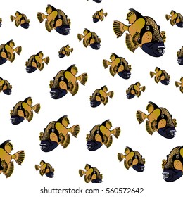 Titan triggerfish pattern, Balistoides viridescens background