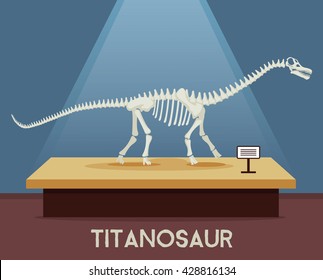 Titanosaur bones skeleton in museum exhibition. Vector flat cartoon illustration