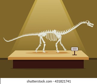 Titanosaur bones skeleton in museum exhibition. Vector flat cartoon illustration. Dinosaurs museum