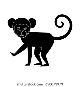 Titi monkey isolated icon