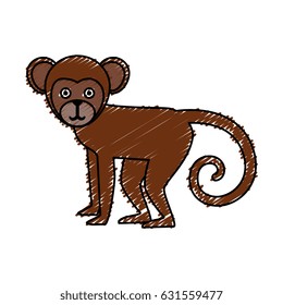 Titi monkey isolated icon