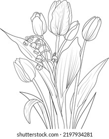 Title: black and white hand drawn, tulip flower botanic collection, pencil sketch of vector illustration natural leaf, summer floral coloring page for adult and children.