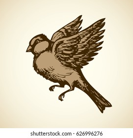 Titmice, Paridae family isolated on  background. Monochrome freehand outline ink hand drawn doodle sketchy picture in retro engraving style. Closeup view with space for text 