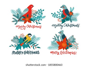 Titmous and red cardinal on holly branch eating berries winter set. Christmas decoration. Isolated concepts with lettering quotes Vector flat cartoon illustration isolated on white.