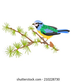 Titmouse bird on branch larch vector illustration
