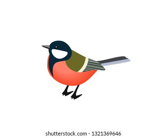 Titmouse bird on a white background