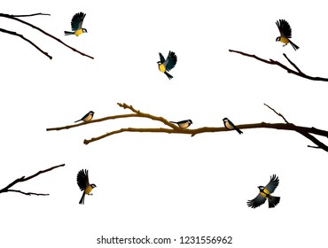 titmouse birds on the tree branch isolated on the white, vector