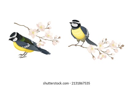 Titmouse with blooming tree branch set cartoon vector illustration