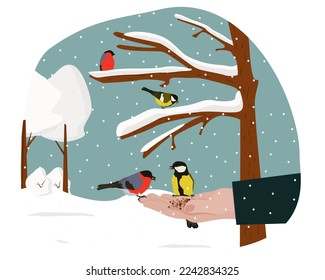 Titmouse and bullfinches eat seeds from the palm of a person. In winter, people feed the birds. Vector illustration.