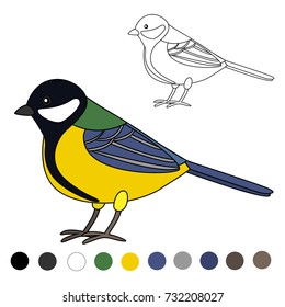 titmouse coloring page