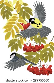 titmouse fly among the branches of a mountain ash