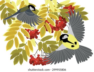 titmouse fly among the branches of a mountain ash