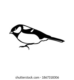 Titmouse isolated on white background. Hand-drawn vector illustration.