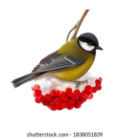 A titmouse on a winter branch of a mountain ash. 3d vector illustration