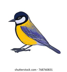 titmouse, vector bird, hand drawn songbird, isolated vector elements