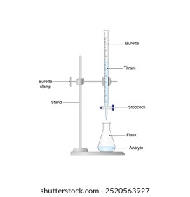 Titration procedure. Titrant in a burette and analyte in a conical flask, scientific experiment in the laboratory. Scientific vector illustration.