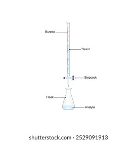 Titrationsverfahren. Titrant in einer Bürette und Analyt in einem Erlenmeyerkolben, wissenschaftliches Experiment im Labor. Wissenschaftliche Vektorgrafik.