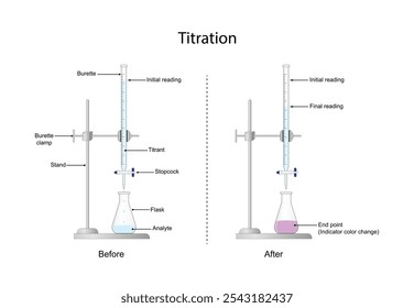 Titration procedure. Titrant in a burette and analyte in a conical flask, scientific experiment in the laboratory. Scientific vector illustration.