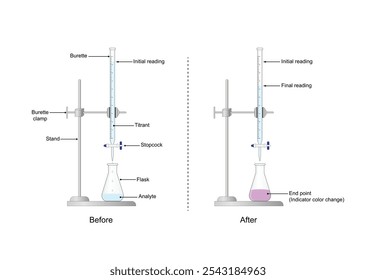 Titration procedure. Titrant in a burette and analyte in a conical flask, scientific experiment in the laboratory. Scientific vector illustration.