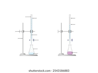 Titration procedure. Titrant in a burette and analyte in a conical flask, scientific experiment in the laboratory. Scientific vector illustration.