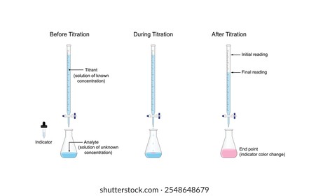 Titration procedure. Titrant in a burette and analyte in a conical flask. End point, indicator color change. Scientific experiment in the laboratory. Scientific vector illustration.