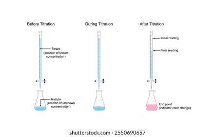 Titration procedure. Titrant in a burette and analyte in a conical flask. End point, indicator color change. Scientific experiment in the laboratory. Scientific vector illustration.