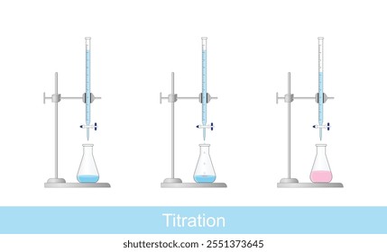 Titration procedure. Titrant in a burette and analyte in a conical flask. End point, indicator color change. Scientific experiment in the laboratory. Scientific vector illustration.