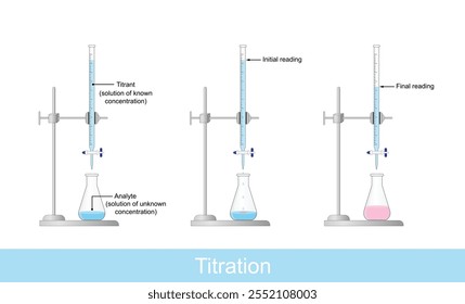 Titration procedure. Titrant in a burette and analyte in a conical flask. End point, indicator color change. Scientific experiment in the laboratory. Scientific vector illustration.