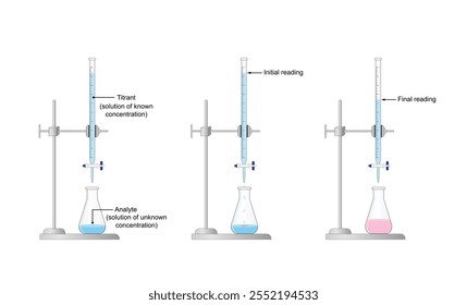 Titration procedure. Titrant in a burette and analyte in a conical flask. End point, indicator color change. Scientific experiment in the laboratory. Scientific vector illustration.