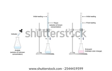 Titration procedure. Titrant in a burette and analyte in a conical flask, scientific experiment in the laboratory. Scientific vector illustration.