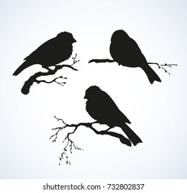 Tits isolated on white sky backdrop. Black ink hand drawn logo sketchy in retro engraving style. Closeup view