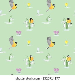 Tits and spring flowers.Spring background.Vector illustration