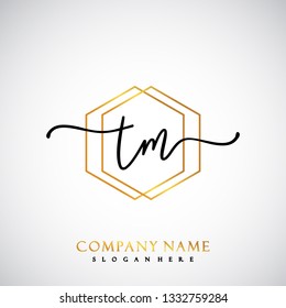 TM Initial Handwriting logo template vector