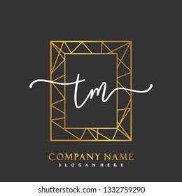 TM Initial Handwriting logo template vector