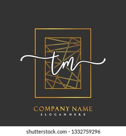 TM Initial Handwriting logo template vector
