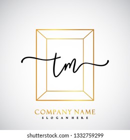 TM Initial Handwriting logo template vector